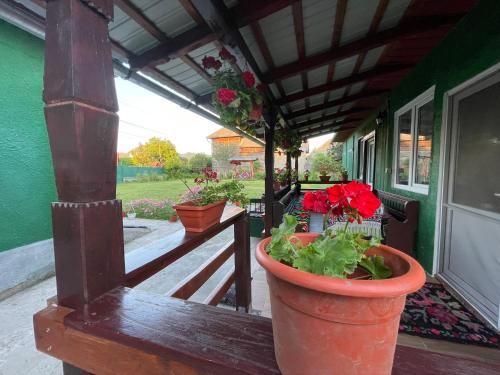 Casa familiala de vacanta in Ieud