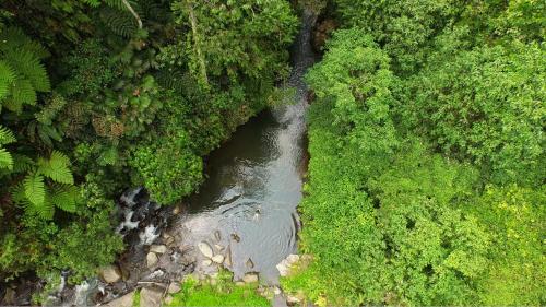 Villa Kalisat Resort – Ubud, CO