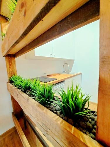 Garden House Jacuzzi