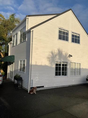 Takapuna loft, Auckland