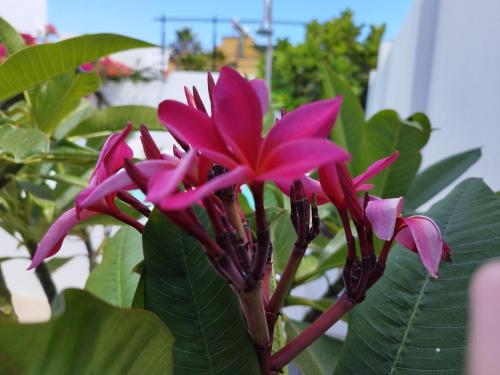 La Alberca Boutique Studio La Alberca Boutique Studio