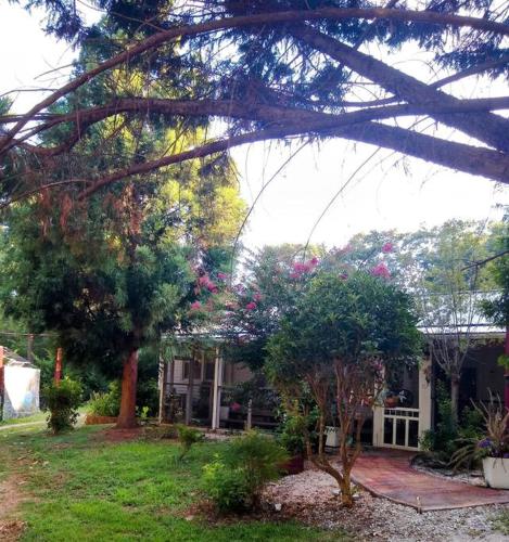 Peaceful 1BR by Nature Trails in Greenville, USA
