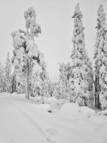 Villa Haawe in Syote