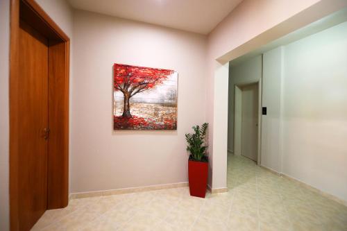 Hotel Erjuma - image 8