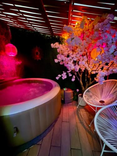 Villa 20 min de Paris avec spa, piscine et sauna gîte à louer Gagny