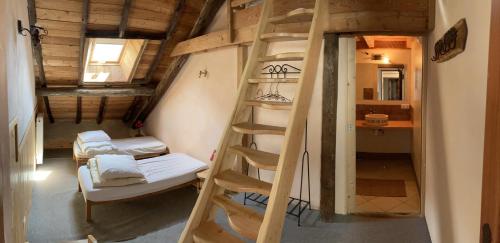 Gîte Le Moulin papillon (Gite Le Moulin papillon) in L'Argentiere-la-Bessee