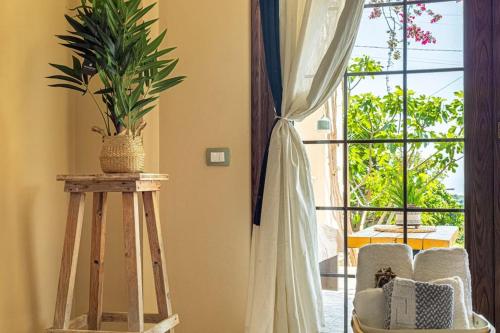 Quadruple Room with Garden View image 8