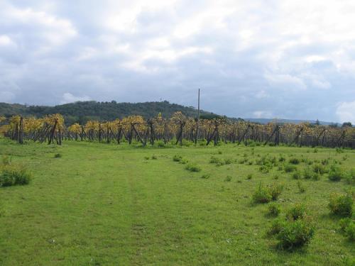 Il Canto di Kokopelli Country Houses - image 2