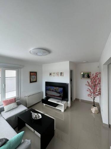 Turine Apartamentos in Junín de los Andes