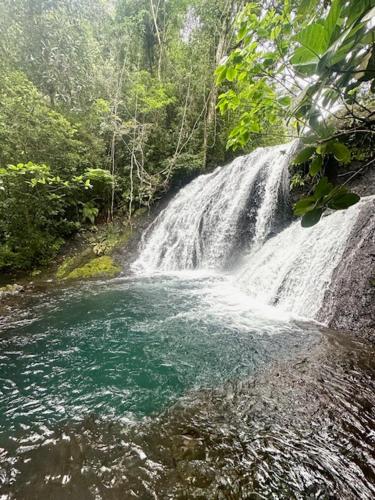 Stylish Farm Flat Jasmeeruls Bayt Tuvurara Savusavu in ドレケッティ