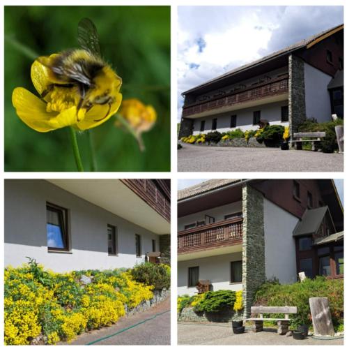 Viesnīcas āriene, Draxlerhous Gasthof in Hohentauerna