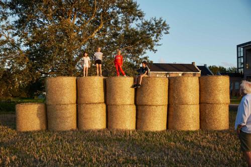 Suvelfabryk Suvelfabryk