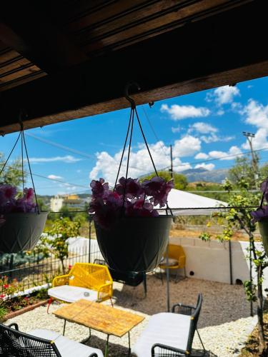 A környék, Natural Hostel in Vlora