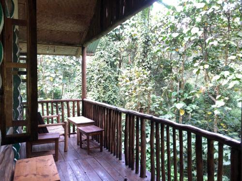 Ruhondeza Lodge in Kanungu