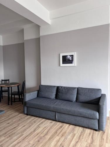 1 king bed, 1 sofa bed