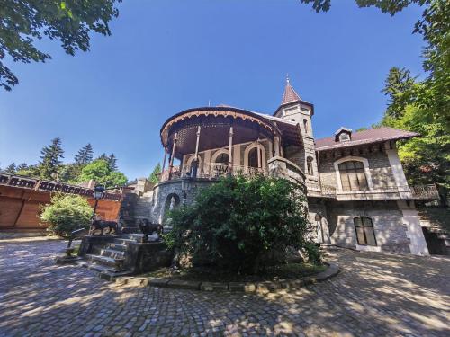 Castelul Stirbey 