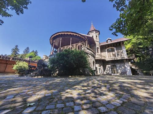 Castelul Stirbey - main image