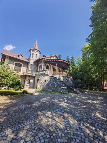Castelul Stirbey - image 6