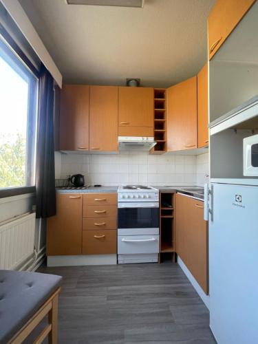 Scandinavian Dream Guesthouse and Apartments in Rovaniemi