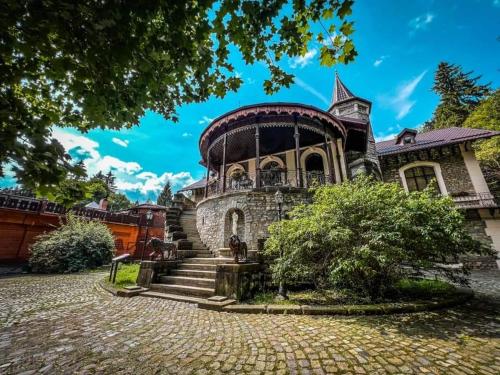 Castelul Stirbey - image 14
