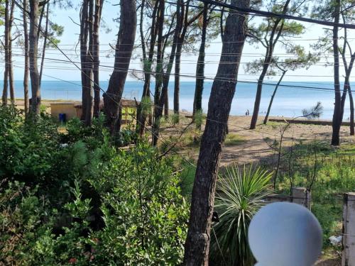 Kilátás, Grigoleti - Sea Forest House in Grigoleti