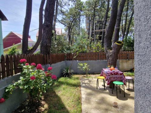 Grigoleti - Sea Forest House, Grigoleti (foto 5)