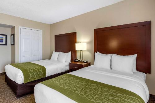 Comfort Inn St Petersburg North - image 11