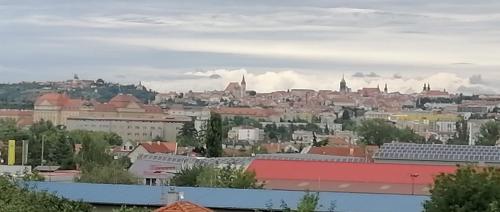 Alrededores, Víno Andrusiów (Vino Andrusiow) in Znojmo