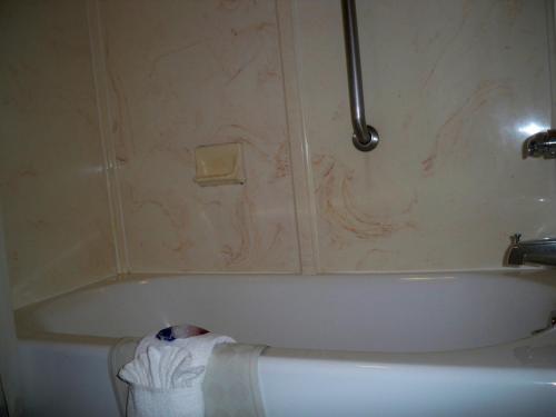 Scottish Inn and Suites Beaumont - 샤워실