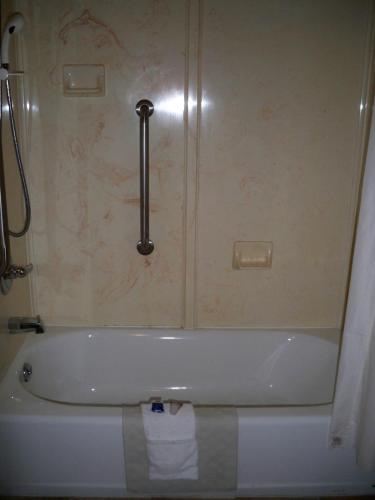 Scottish Inn and Suites Beaumont - 샤워실
