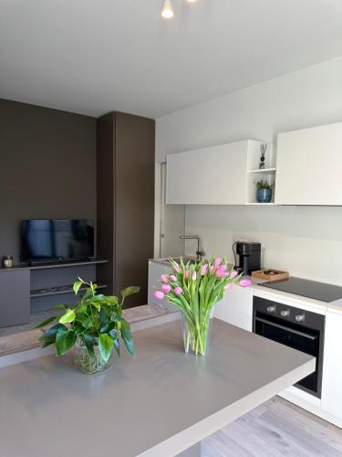 Live Lugano - Via A Riva Room Type - One-Bedroom Superior Apartment