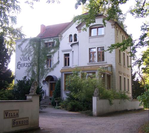 Hotel Villa Herzog - image 14