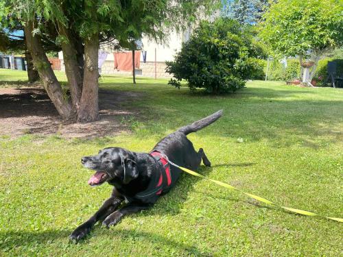 Ferienwohnung Wanderglück (Ferienwohnung Wandergluck) in Rathmannsdorf - Hohe