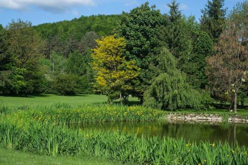 Dārzs, Domek w Ośrodku Jeździeckim Tarpan (Domek w Osrodku Jezdzieckim Tarpan) in Wysoczany