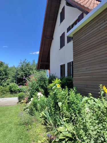 外部景觀, Ferienwohnung Haus Poppis in 克雷斯波洛安博登湖