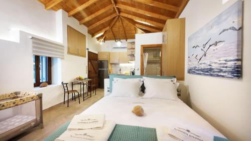 Myrsinis Studios in Chorto Pelion