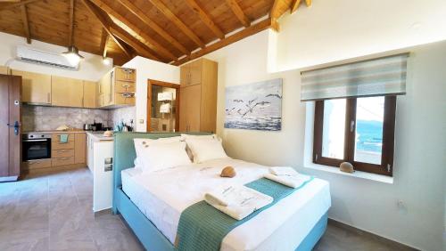 Myrsinis Studios in Chorto Pelion