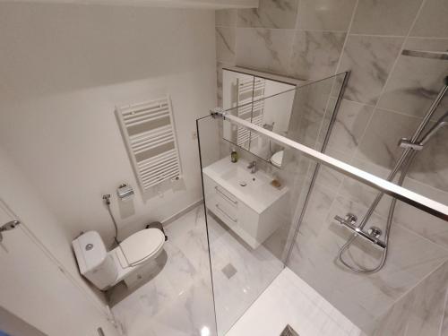 Paris Apartment Near Arc de Triomphe and Shopping - image 11