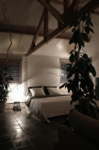 B&B De Onlanden
