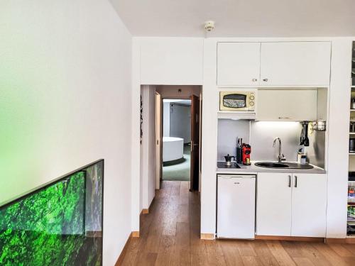 Apartment Amazing Apt- 505 by Interhome in Bissone