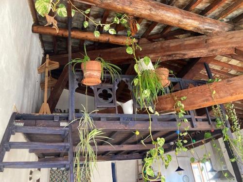 Appartement terrasse vue panoramique au coeur du Panier, Marseille (photo 10)