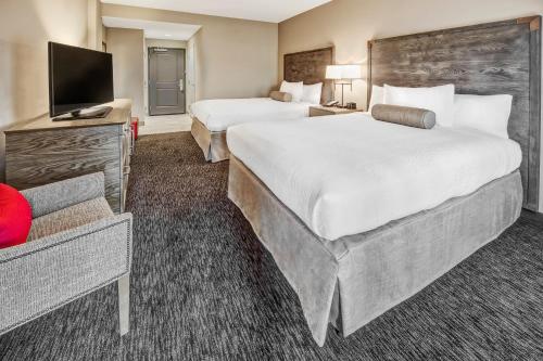 Black Fox Lodge Pigeon Forge Tapestry Collection by Hilton - image 26