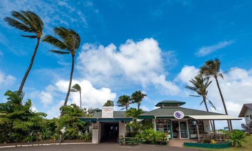 Hanalei Colony Resort I1-steps to sand oceanfront views wild & beautiful! - image 10