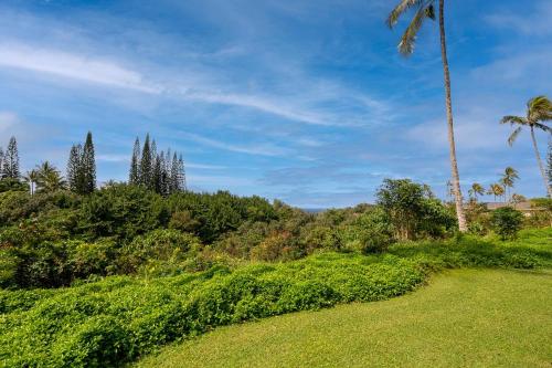 Alii Kai 11B-ocean/mountain views hot tub family friendly & budget friendly - image 5