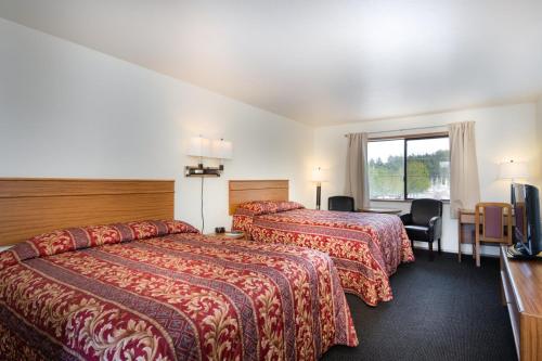 Budget Single Room
