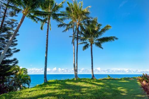 Hanalei Bay Villas 26-ocean view walk to beach updated inside! - image 5