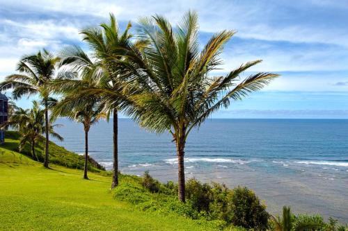 Sealodge C7-oceanfront views, top floor privacy, bright tropical interior - Tap to explore photos