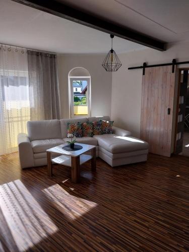 Family Studio