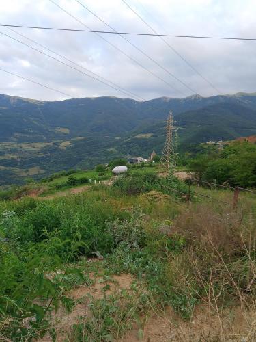 Vista, Ksenya B&B in Tatev