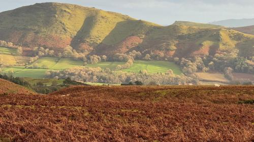 A környék, Gooseyard at Middle Farm and Cottages in Church Stretton